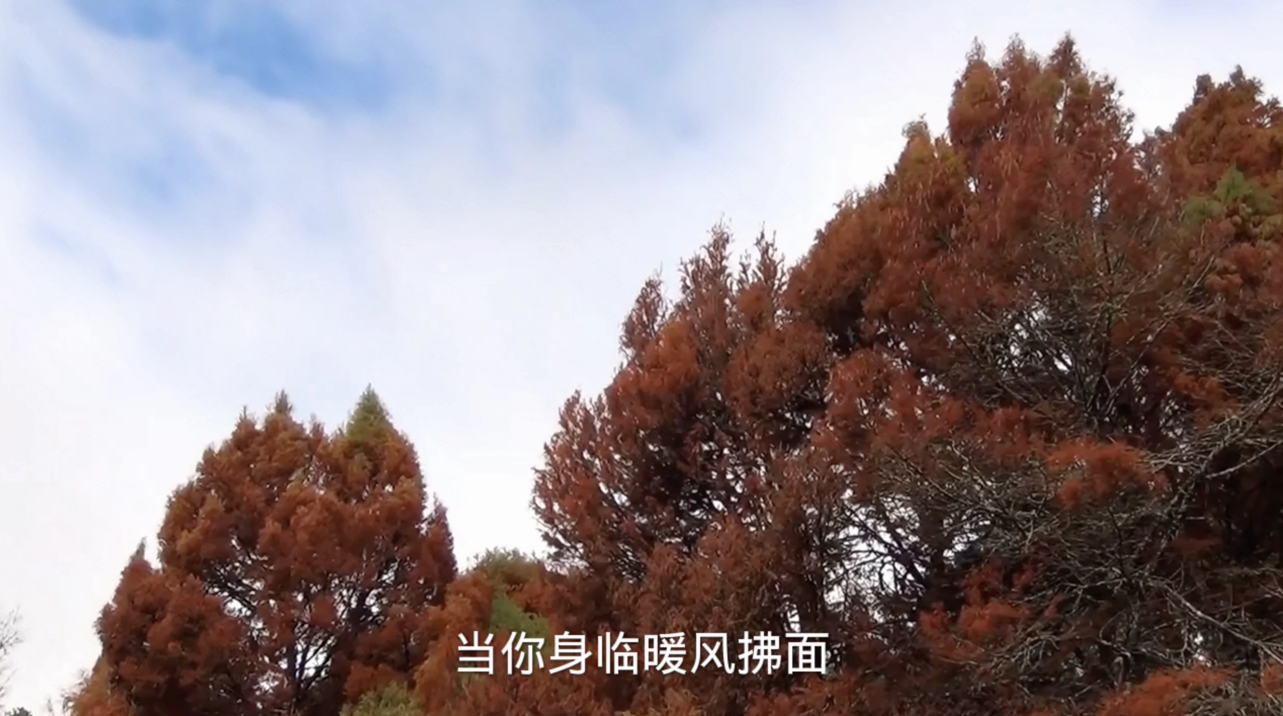 人像分割demo